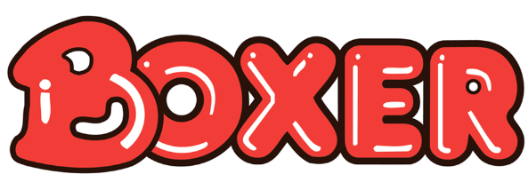 Boxer stores logo